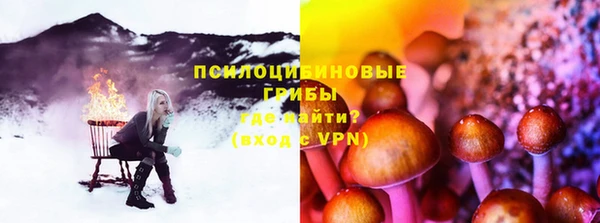 прущий лед Богородицк