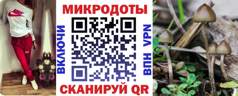 Галлюциногенные грибы мухоморы  Купить закладки  Надым 